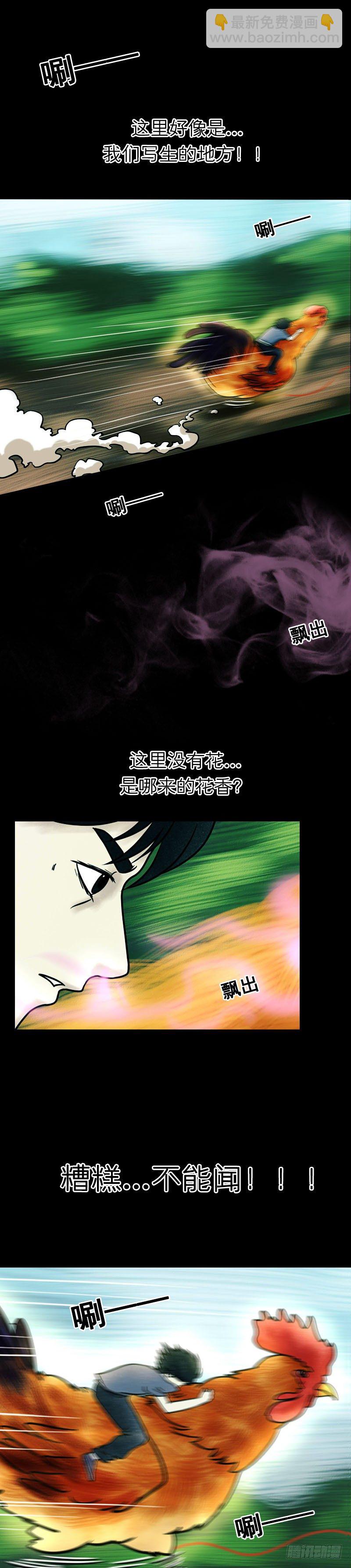 《我当阴阳先生的那几年(金牛座的大白)》第十章 金鸡引路 第13页