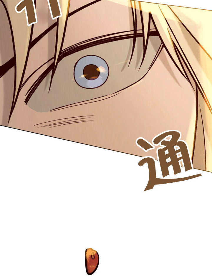 《饲养那些奴隶的方法》第13话 第6页