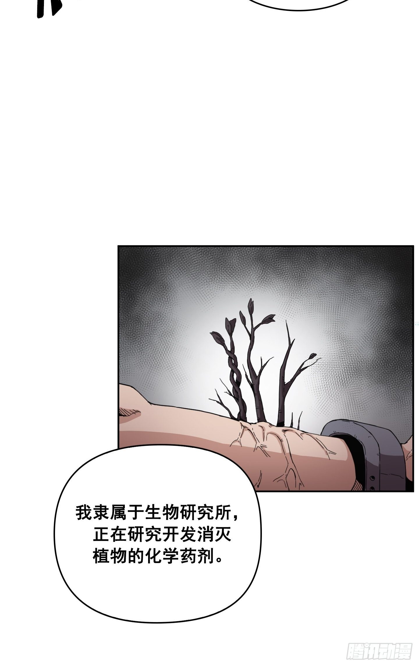 《Flower War 第二季》第4话 第13页