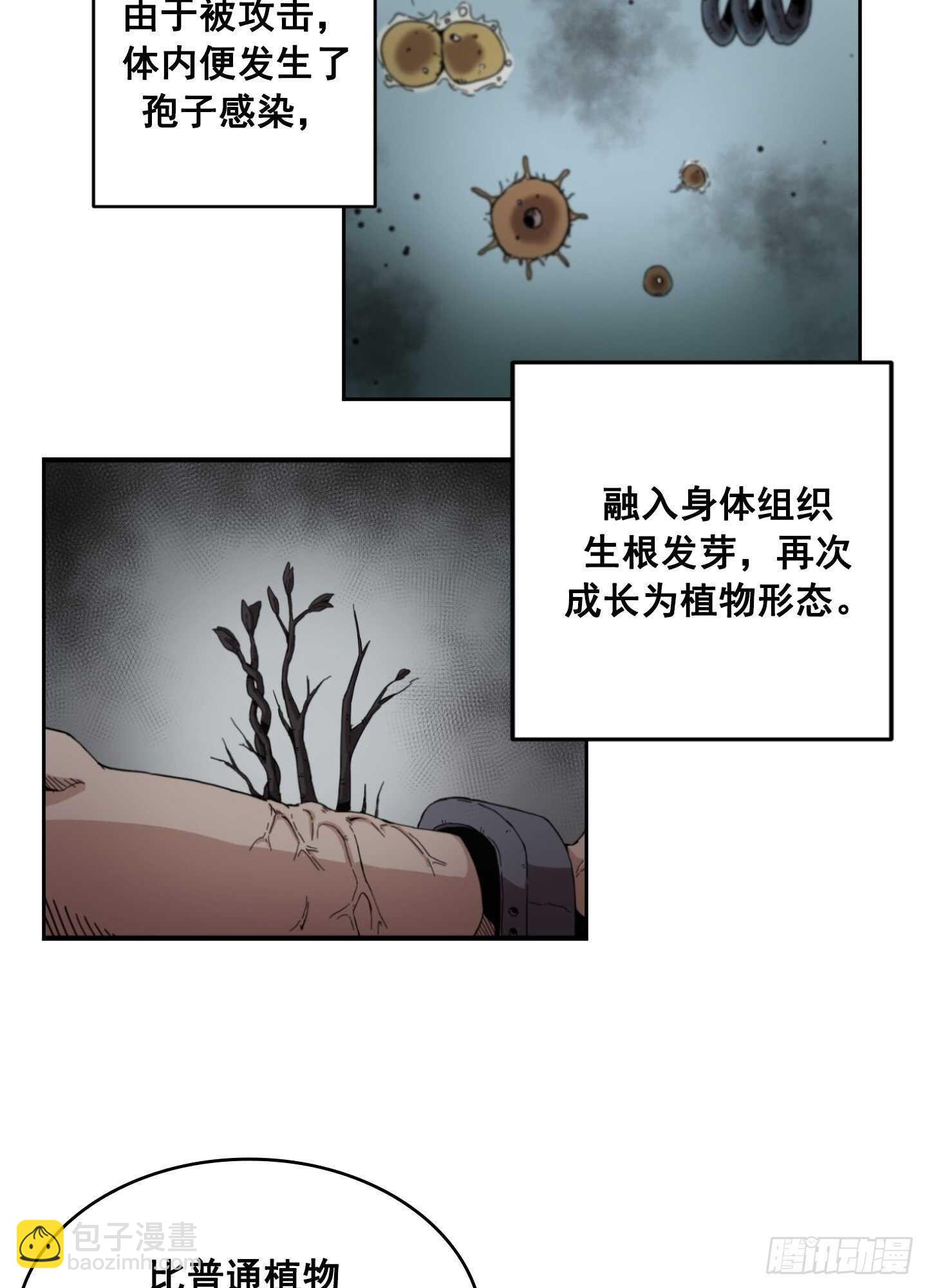 《Flower War 第二季》第11话 第26页