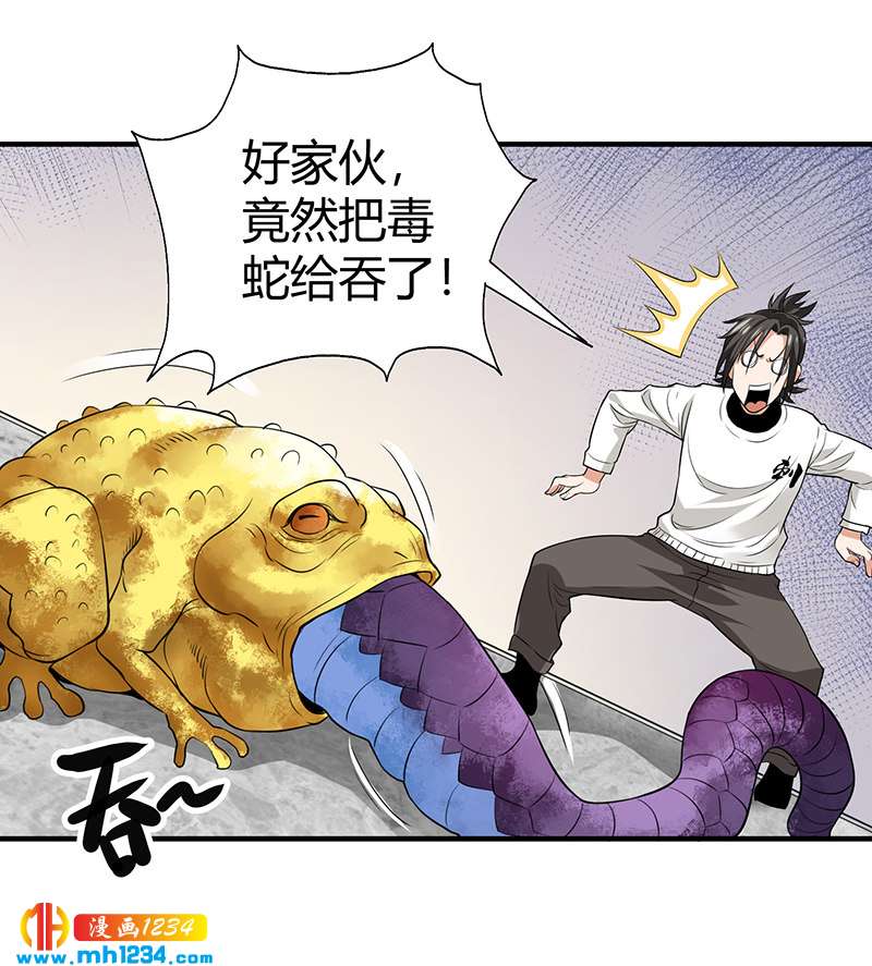 《护花高手》第35话 我是他师父 第33页