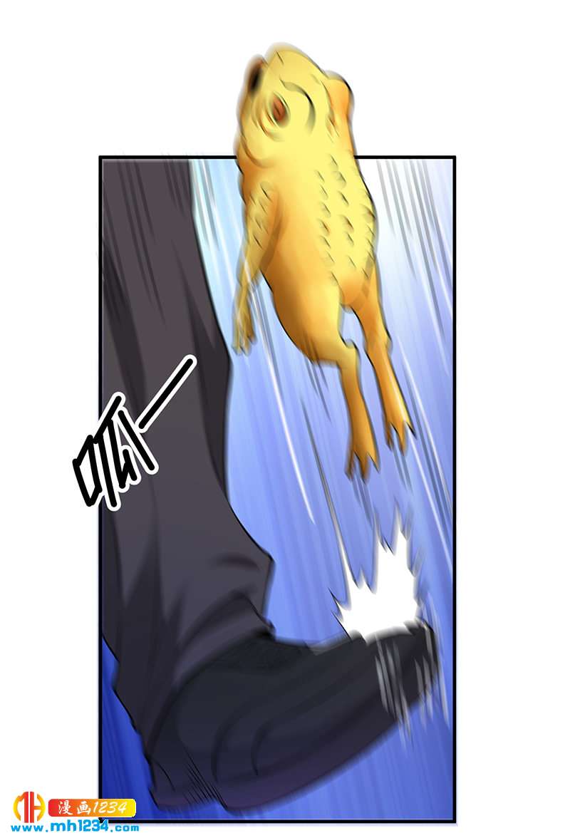《护花高手》第34话 以毒养毒 第11页