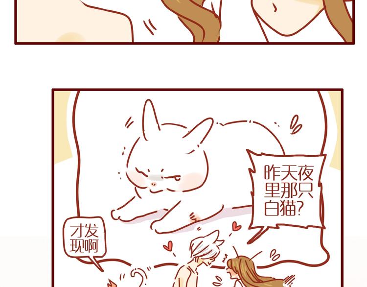 《家用猫咪美妆指南》第2话捡到一只小白猫 第15页