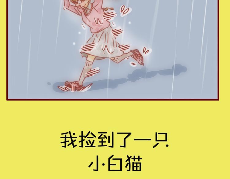 《家用猫咪美妆指南》序章猫咪美妆天团，驾到！ 第15页