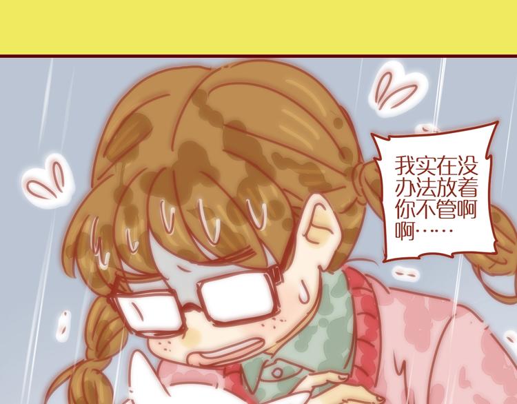 《家用猫咪美妆指南》序章猫咪美妆天团，驾到！ 第17页