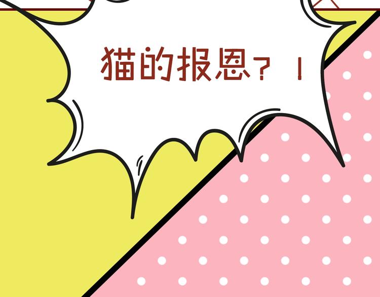 《家用猫咪美妆指南》序章猫咪美妆天团，驾到！ 第26页