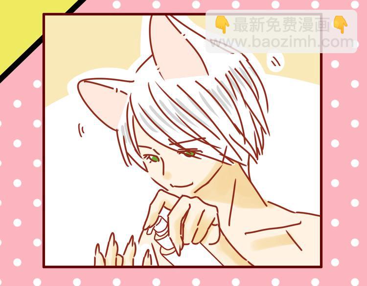 《家用猫咪美妆指南》序章猫咪美妆天团，驾到！ 第27页