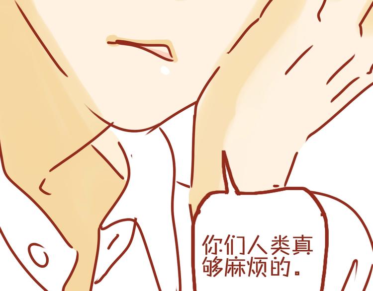 《家用猫咪美妆指南》序章猫咪美妆天团，驾到！ 第41页