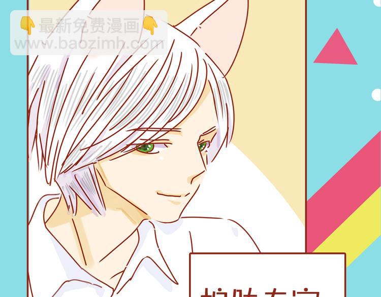 《家用猫咪美妆指南》序章猫咪美妆天团，驾到！ 第48页