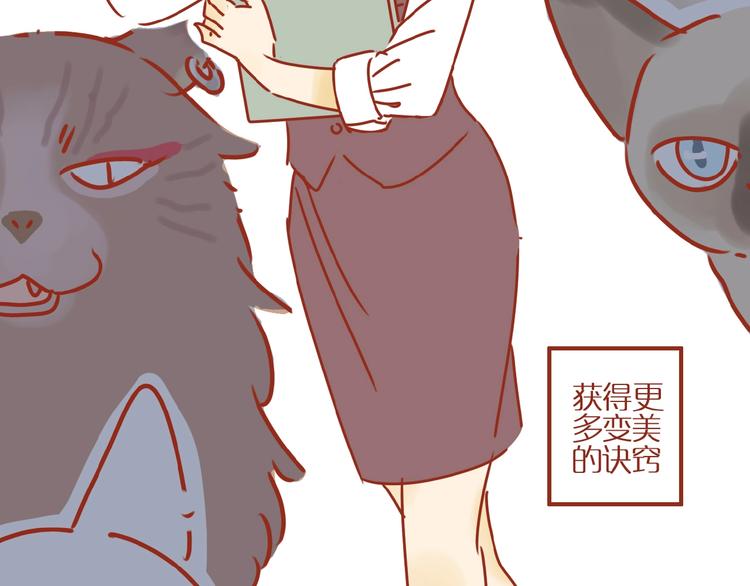 《家用猫咪美妆指南》第1话我不想做工具人 第13页