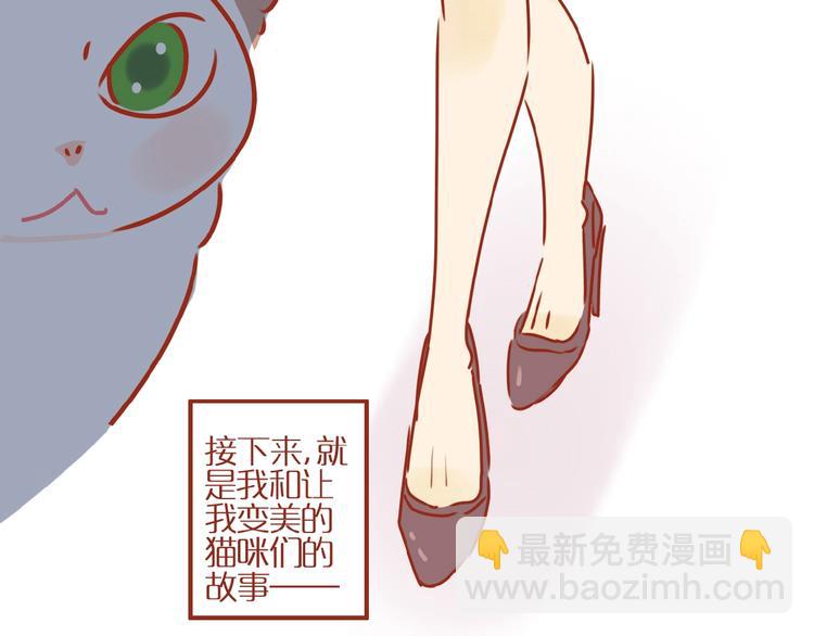 《家用猫咪美妆指南》第1话我不想做工具人 第14页