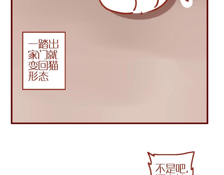 《家用猫咪美妆指南》第6话 猫咪帮忙买买买 第48页