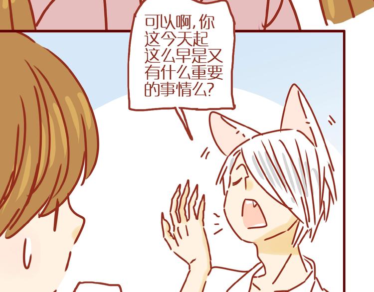 《家用猫咪美妆指南》第7话 头发护理难题 第24页
