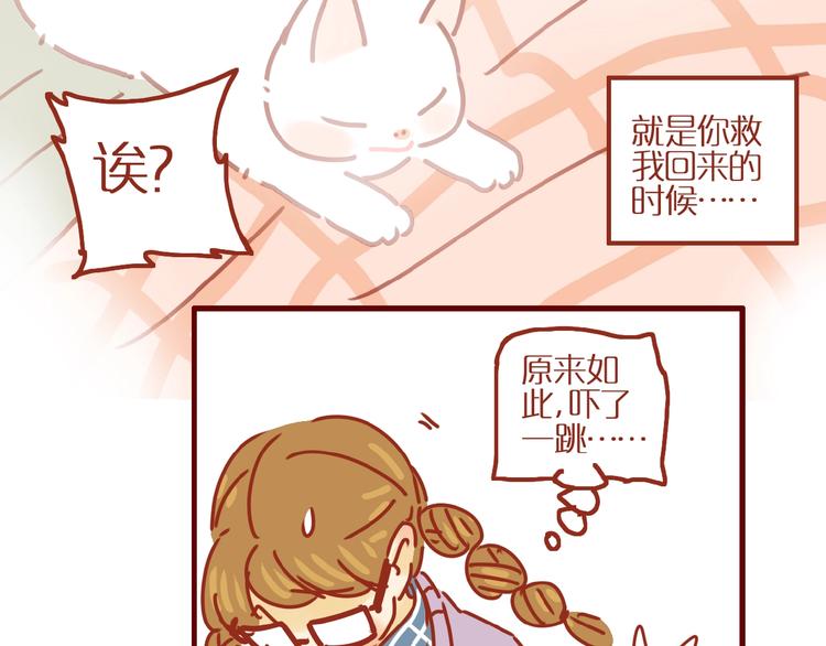 《家用猫咪美妆指南》第4话 猫男教你洗脸啦！ 第16页