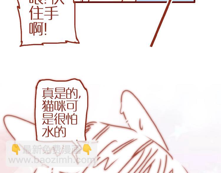《家用猫咪美妆指南》番外怕水的猫咪 第26页
