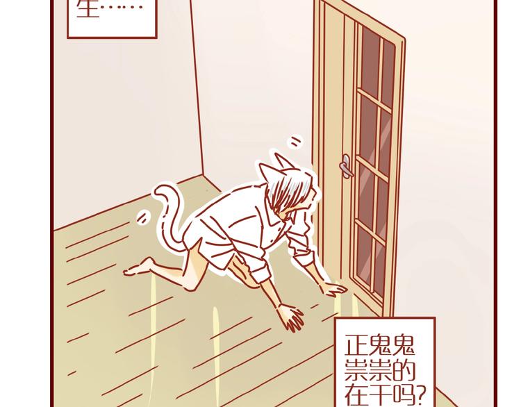 《家用猫咪美妆指南》番外怕水的猫咪 第6页