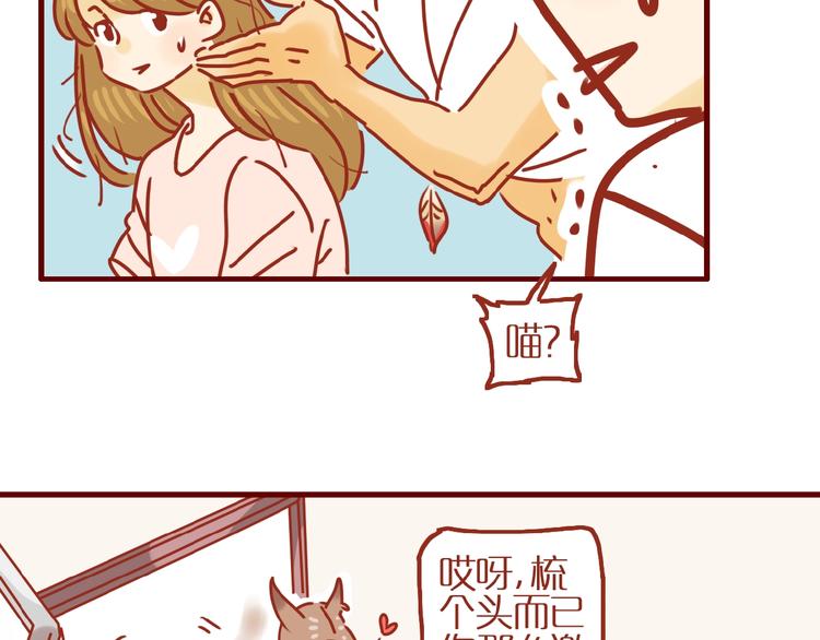 《家用猫咪美妆指南》第10话 正确的洗头方式 第14页