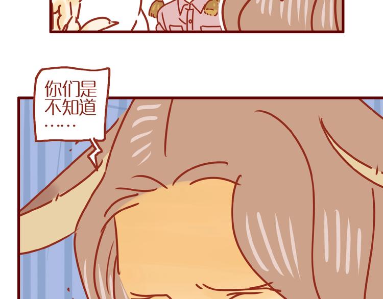 《家用猫咪美妆指南》第9话 拒绝过度吸猫 第15页