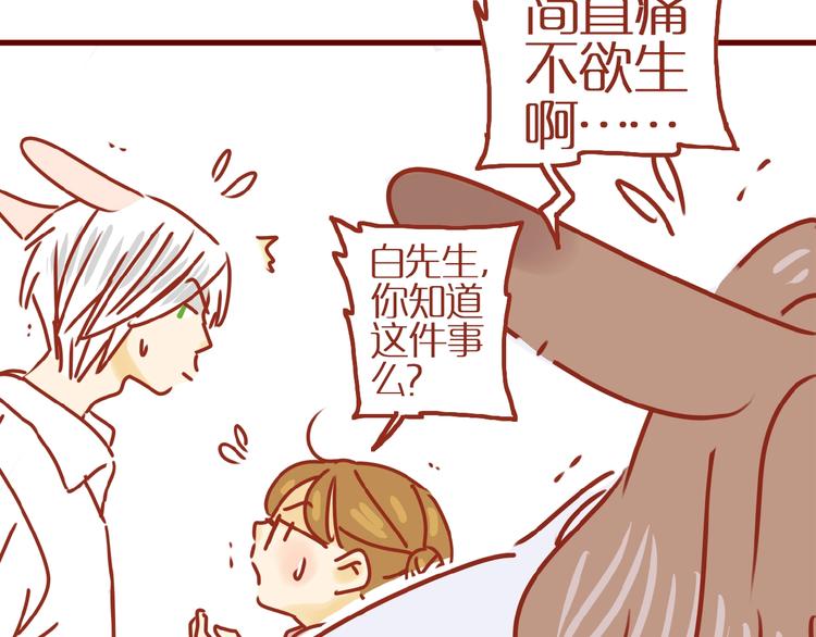 《家用猫咪美妆指南》第9话 拒绝过度吸猫 第18页