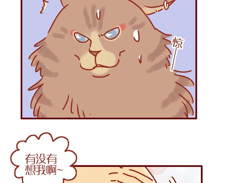 《家用猫咪美妆指南》第9话 拒绝过度吸猫 第28页