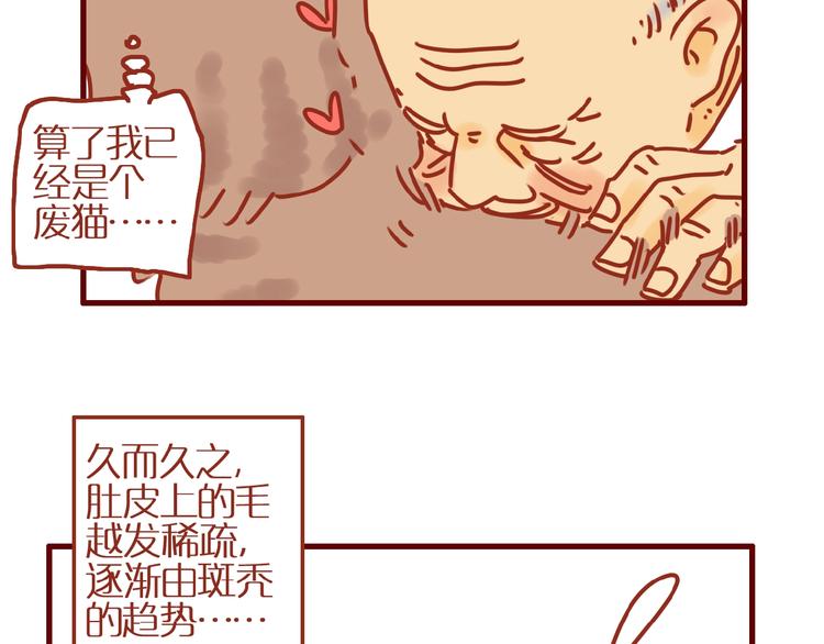 《家用猫咪美妆指南》第9话 拒绝过度吸猫 第33页