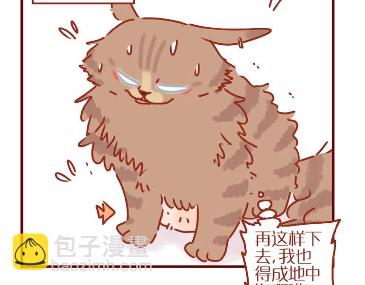《家用猫咪美妆指南》第9话 拒绝过度吸猫 第34页