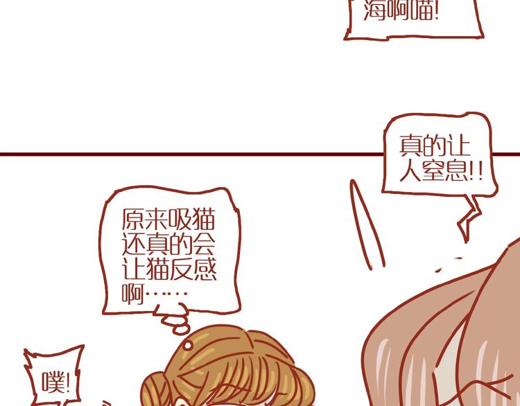 《家用猫咪美妆指南》第9话 拒绝过度吸猫 第35页