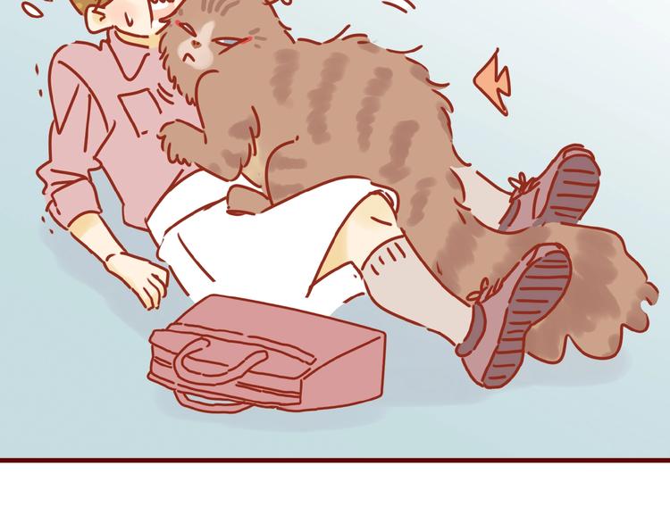 《家用猫咪美妆指南》第8话 新猫旧猫 第10页