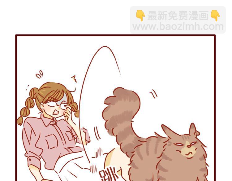《家用猫咪美妆指南》第8话 新猫旧猫 第12页