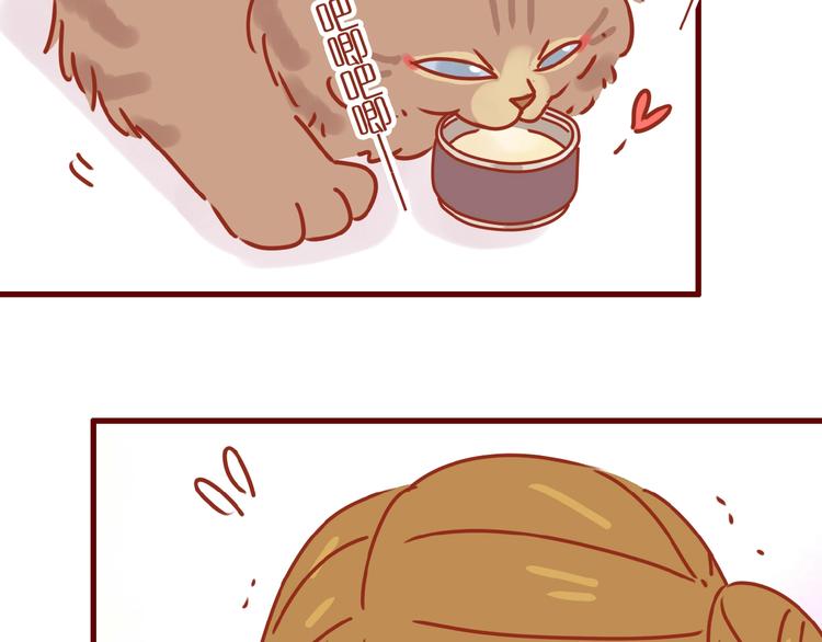 《家用猫咪美妆指南》第8话 新猫旧猫 第24页
