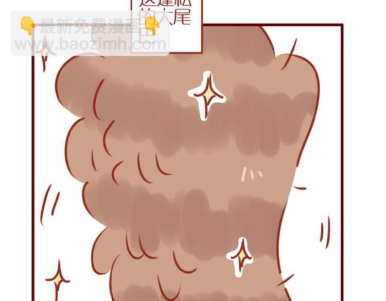 《家用猫咪美妆指南》第8话 新猫旧猫 第26页