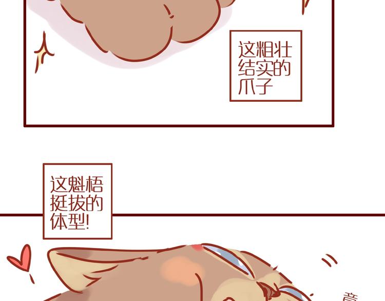 《家用猫咪美妆指南》第8话 新猫旧猫 第28页