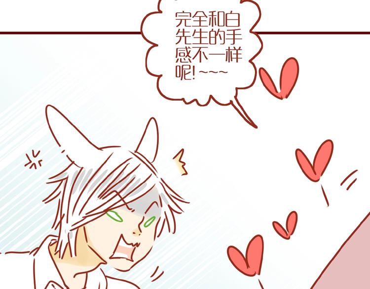 《家用猫咪美妆指南》第8话 新猫旧猫 第37页