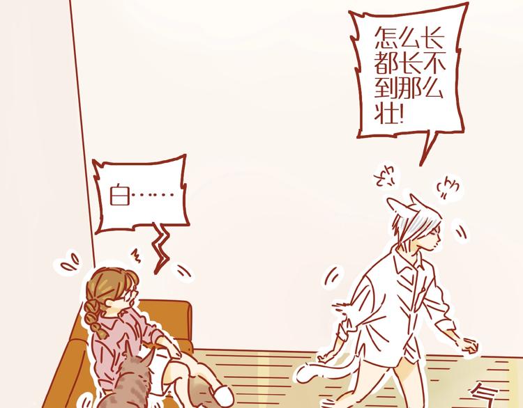 《家用猫咪美妆指南》第8话 新猫旧猫 第42页