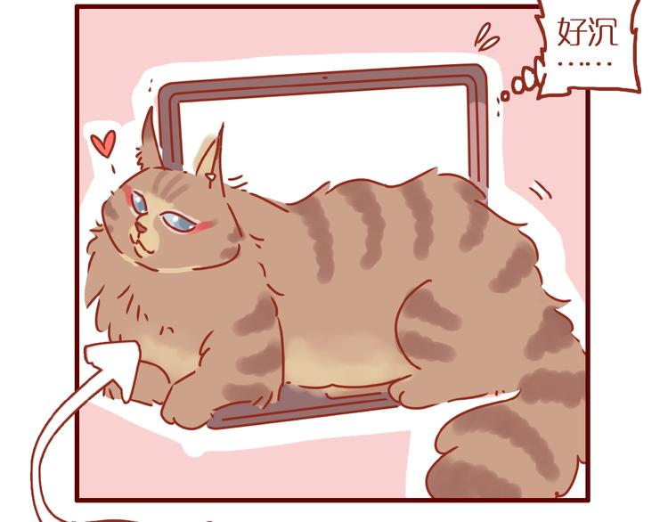 《家用猫咪美妆指南》第13话 猫咪争宠 第7页
