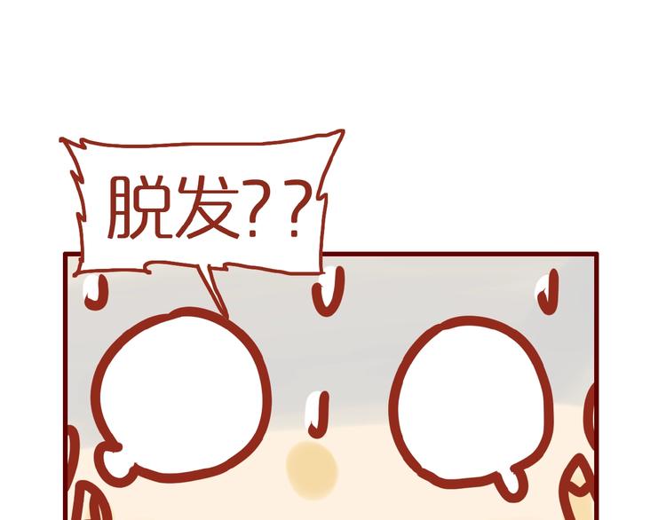 《家用猫咪美妆指南》第11话 防秃少女 第4页