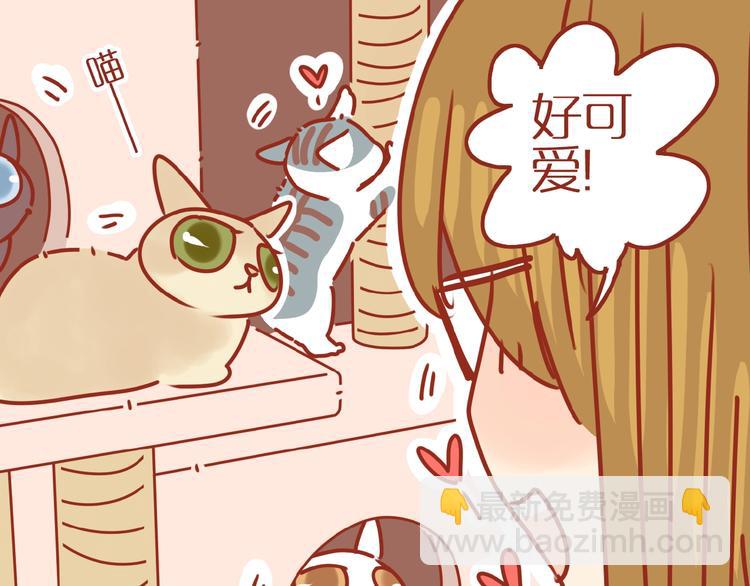 《家用猫咪美妆指南》第14话又有新猫啦！ 第30页