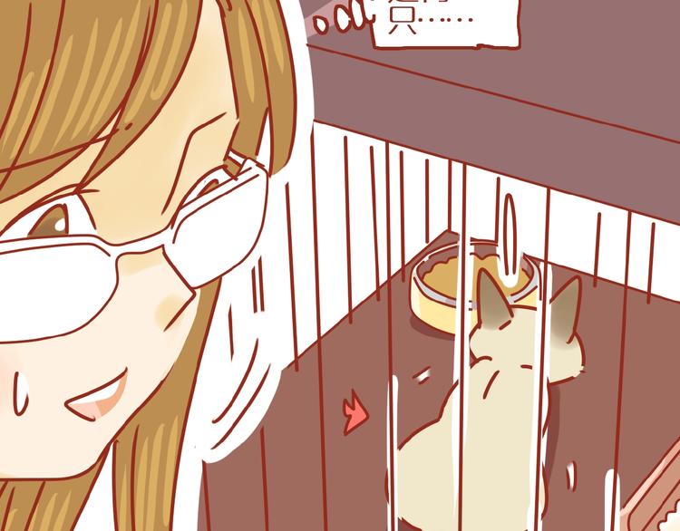 《家用猫咪美妆指南》第14话又有新猫啦！ 第42页