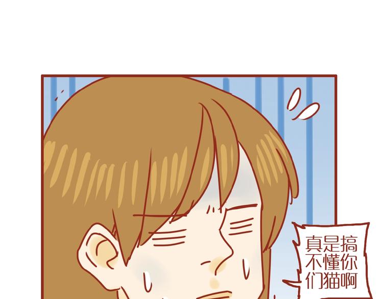 《家用猫咪美妆指南》第18话 完结篇变成更好的自己 第14页