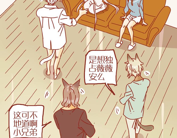 《家用猫咪美妆指南》第18话 完结篇变成更好的自己 第23页