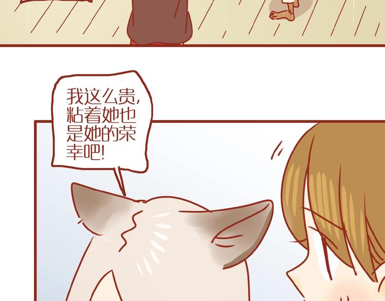 《家用猫咪美妆指南》第18话 完结篇变成更好的自己 第24页