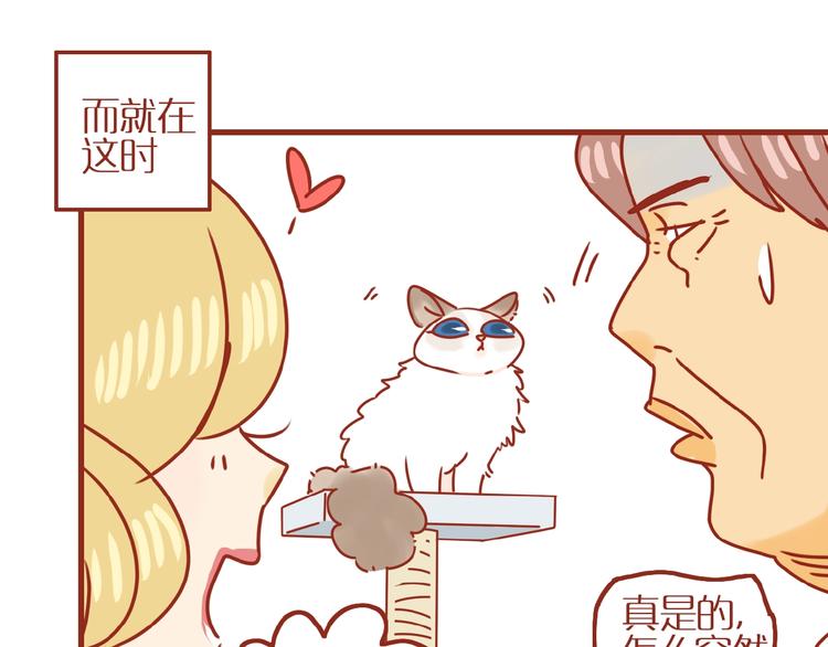 《家用猫咪美妆指南》第18话 完结篇变成更好的自己 第32页