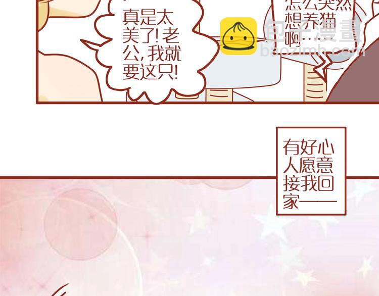 《家用猫咪美妆指南》第18话 完结篇变成更好的自己 第33页