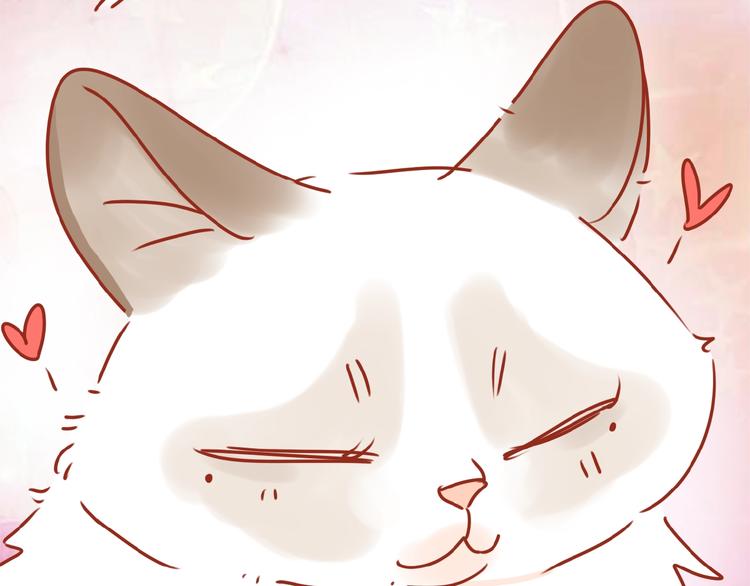 《家用猫咪美妆指南》第18话 完结篇变成更好的自己 第34页