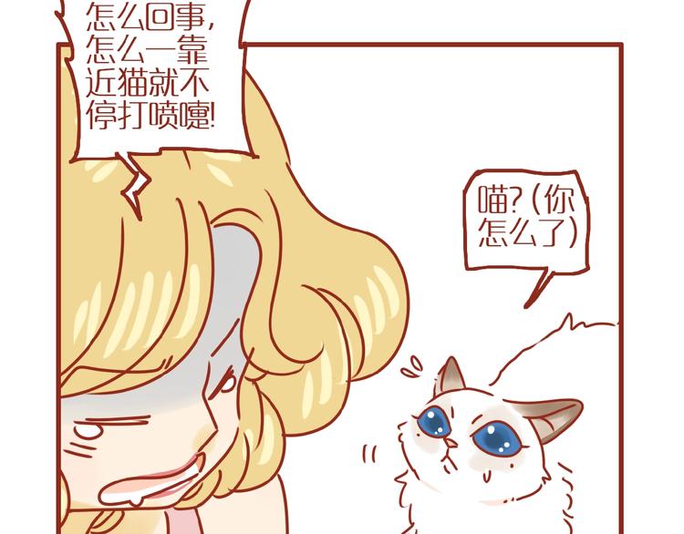 《家用猫咪美妆指南》第18话 完结篇变成更好的自己 第37页