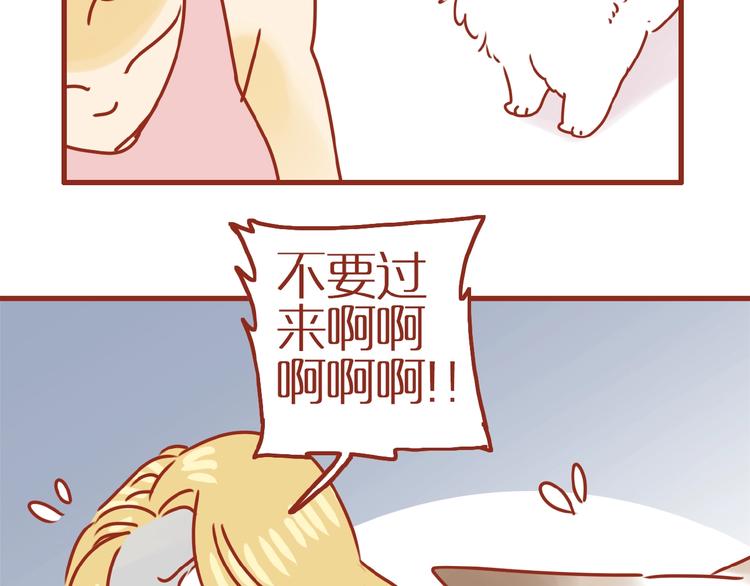 《家用猫咪美妆指南》第18话 完结篇变成更好的自己 第38页