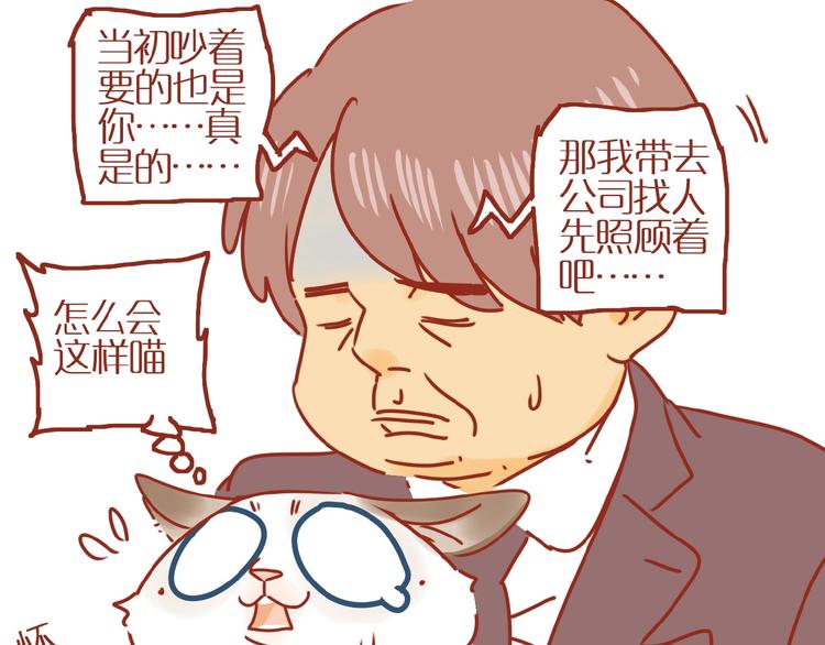 《家用猫咪美妆指南》第18话 完结篇变成更好的自己 第42页