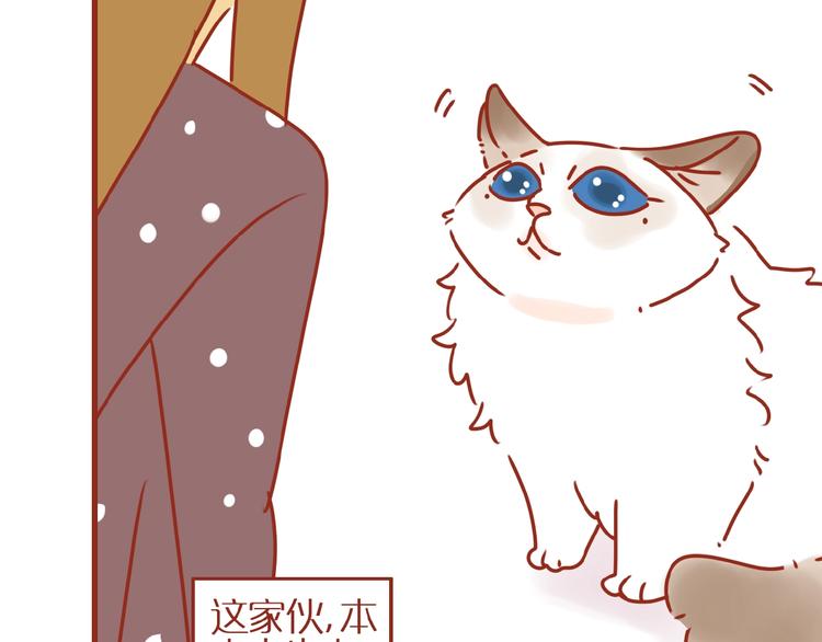 《家用猫咪美妆指南》第18话 完结篇变成更好的自己 第47页