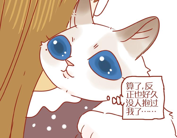 《家用猫咪美妆指南》第18话 完结篇变成更好的自己 第49页