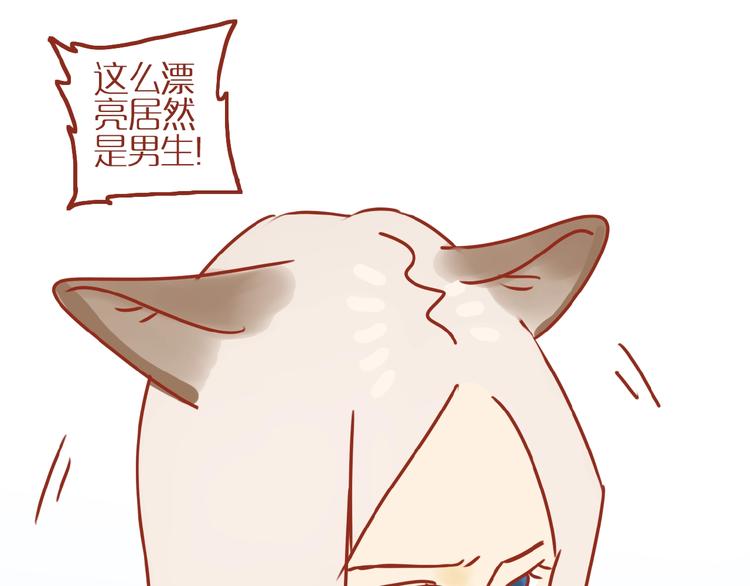 《家用猫咪美妆指南》第18话 完结篇变成更好的自己 第4页